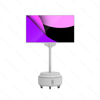 柔性O(shè)LED雙面旋轉(zhuǎn)屏